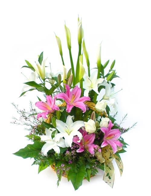 Pink white lilies arrangement