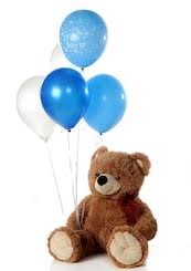 5 Gas filled Blue Balloons tied to 12 Inches brown Teddy bears hand