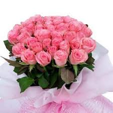 36 Pink roses in a bouquet