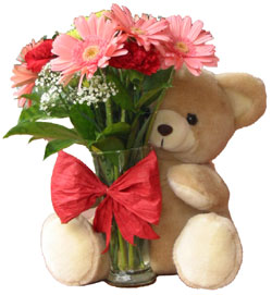 12 Red roses bouquet with teddy bear