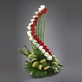 30 red and white roses spiral arrangement