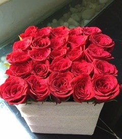 25 red color roses in a white box