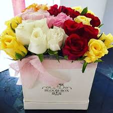 25 mix color roses in a box
