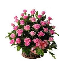 40 pink roses in a basket