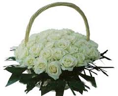 24 white roses arrangement