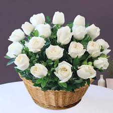 White roses