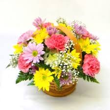 15 gerberas carnation basket