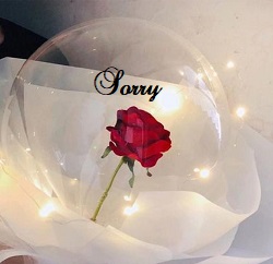 SORRY printed transparent balloon 1 red rose Only for Pune