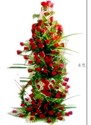 100 red Roses on a 4 ft stand Same day delivery for Pune