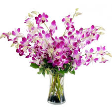 10 Orchids in a glass vase