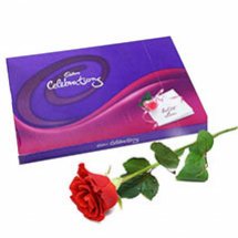 Cadburys celebration with 5 red roses