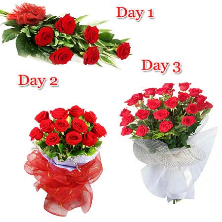 Day-1 6 red roses Day-2 12 red roses Day-3 24 Red roses