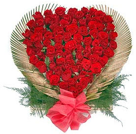 50 Red roses heart